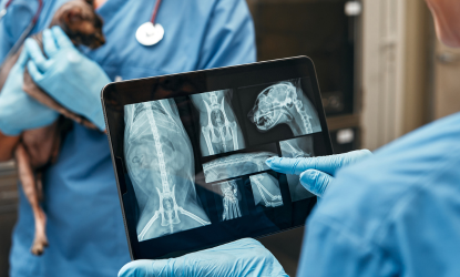 CLÍNICA VETERINARIA ABERE SERVICIOS DIAGNOSTICO POR IMAGEN 2