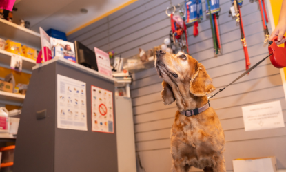CLÍNICA VETERINARIA ABERE SERVICIOS TIENDA